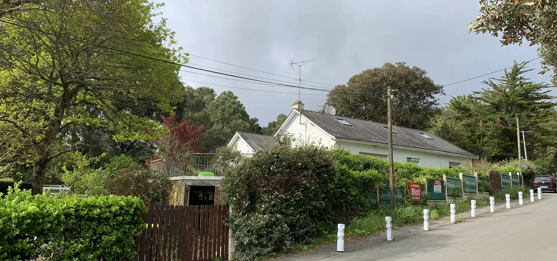Left Image